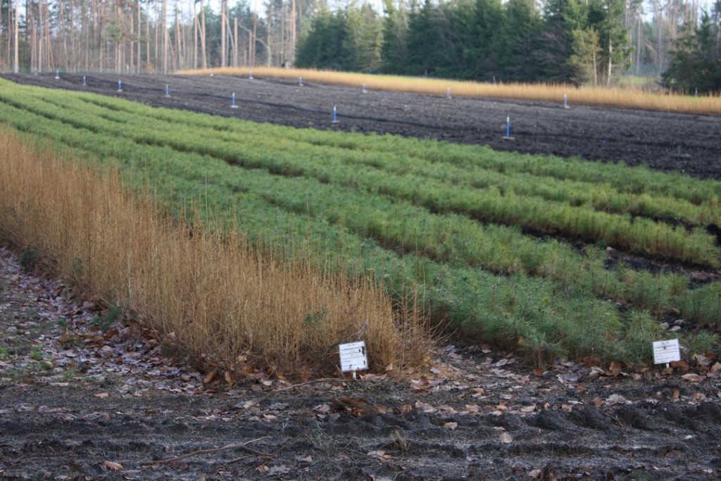 tn_IMG_3918